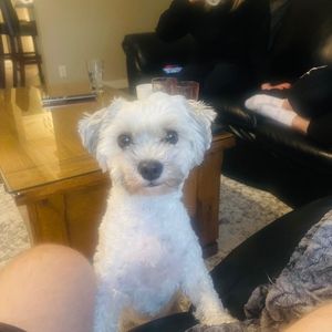 Meet your Posher, Emina